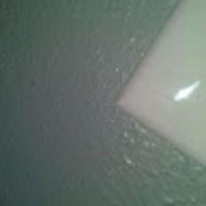 Meet your Posher, Ben